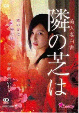 驼峰航线二战运输机电影剧照